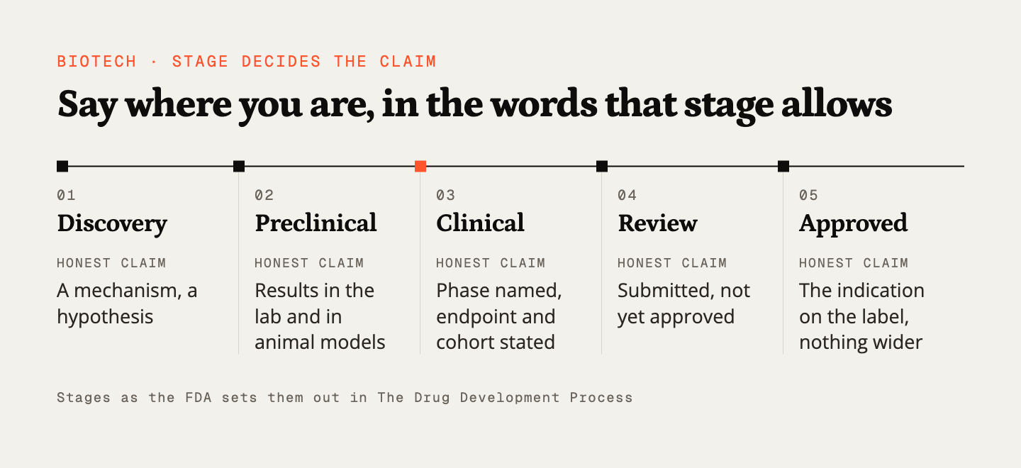 Five development stages from discovery to approval, each paired with the claim that stage honestly allows