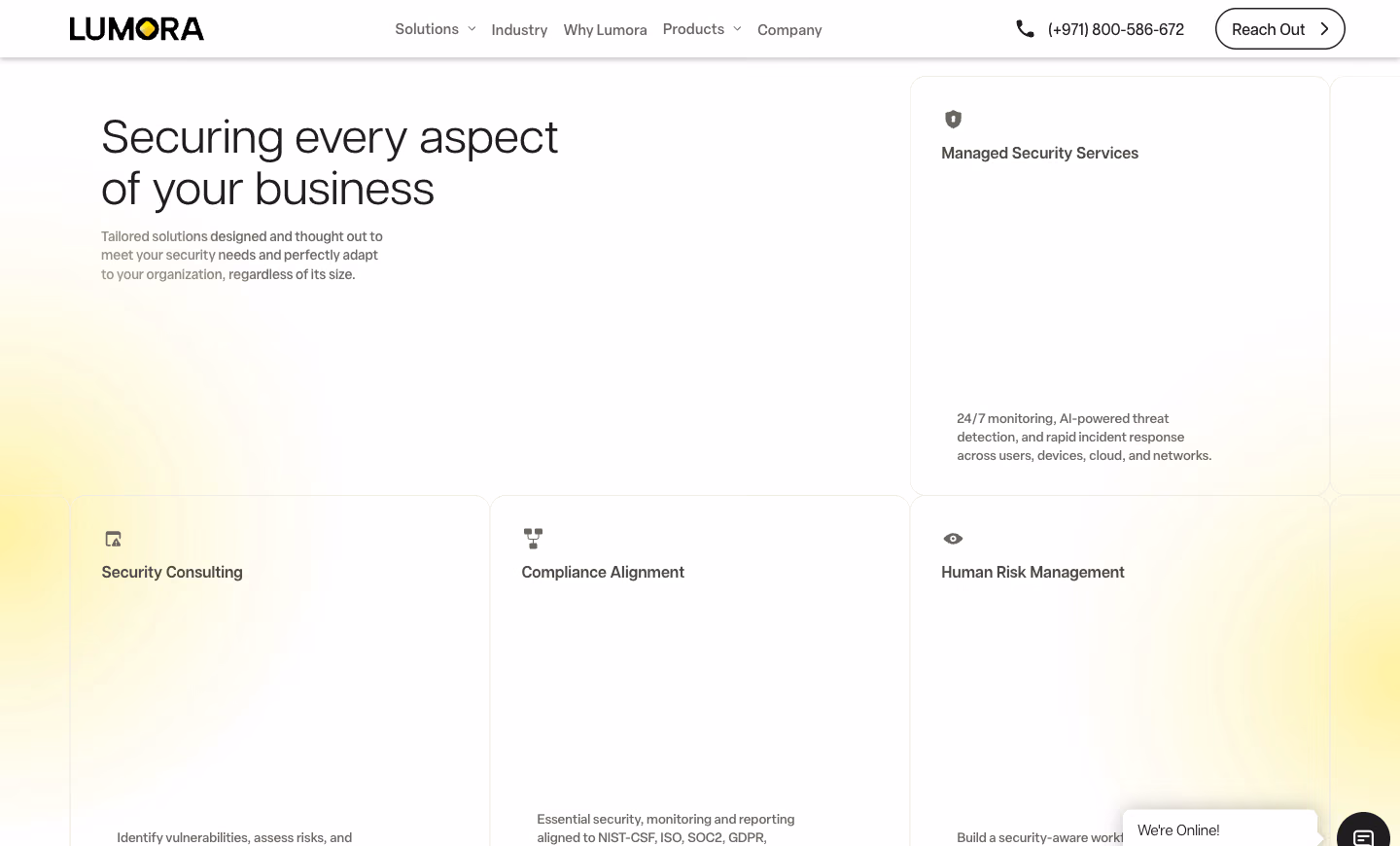 Lumora Security website, securing every aspect
