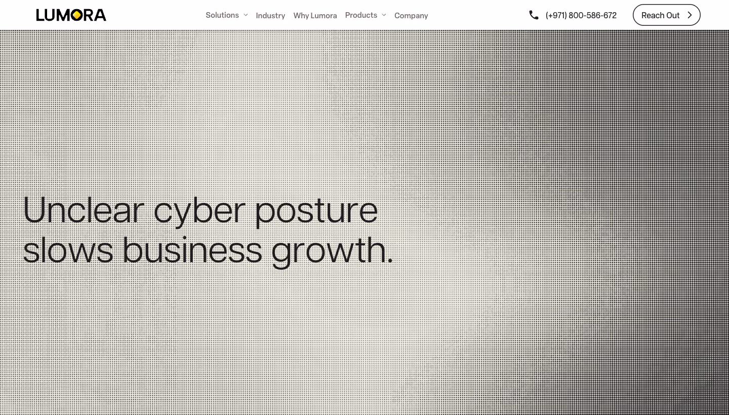 Lumora Security website, the home page